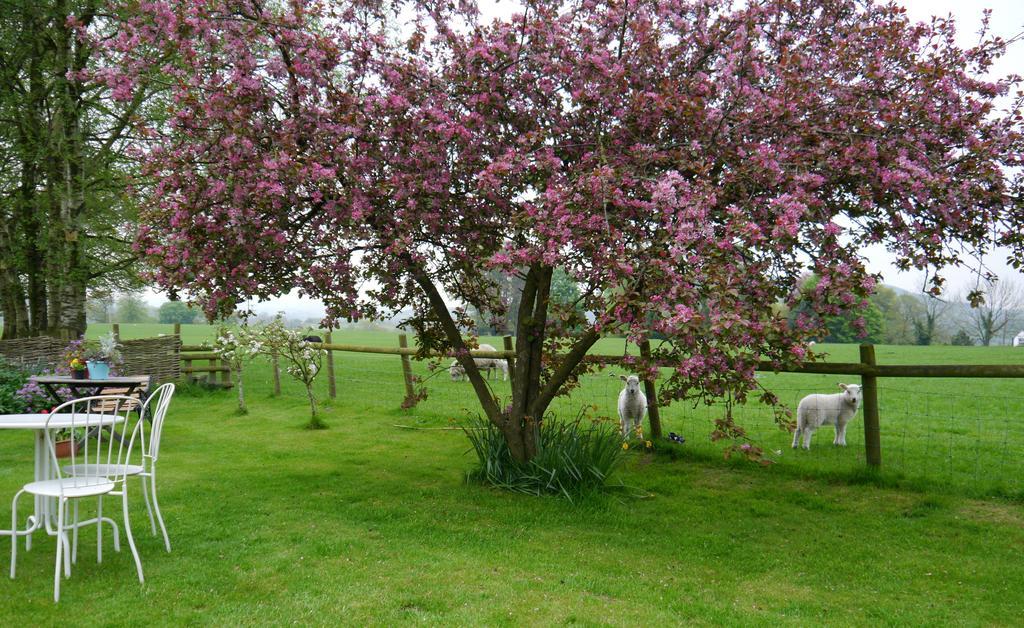 Bed and Breakfast Yew Tree Farm Eaton  Exterior foto