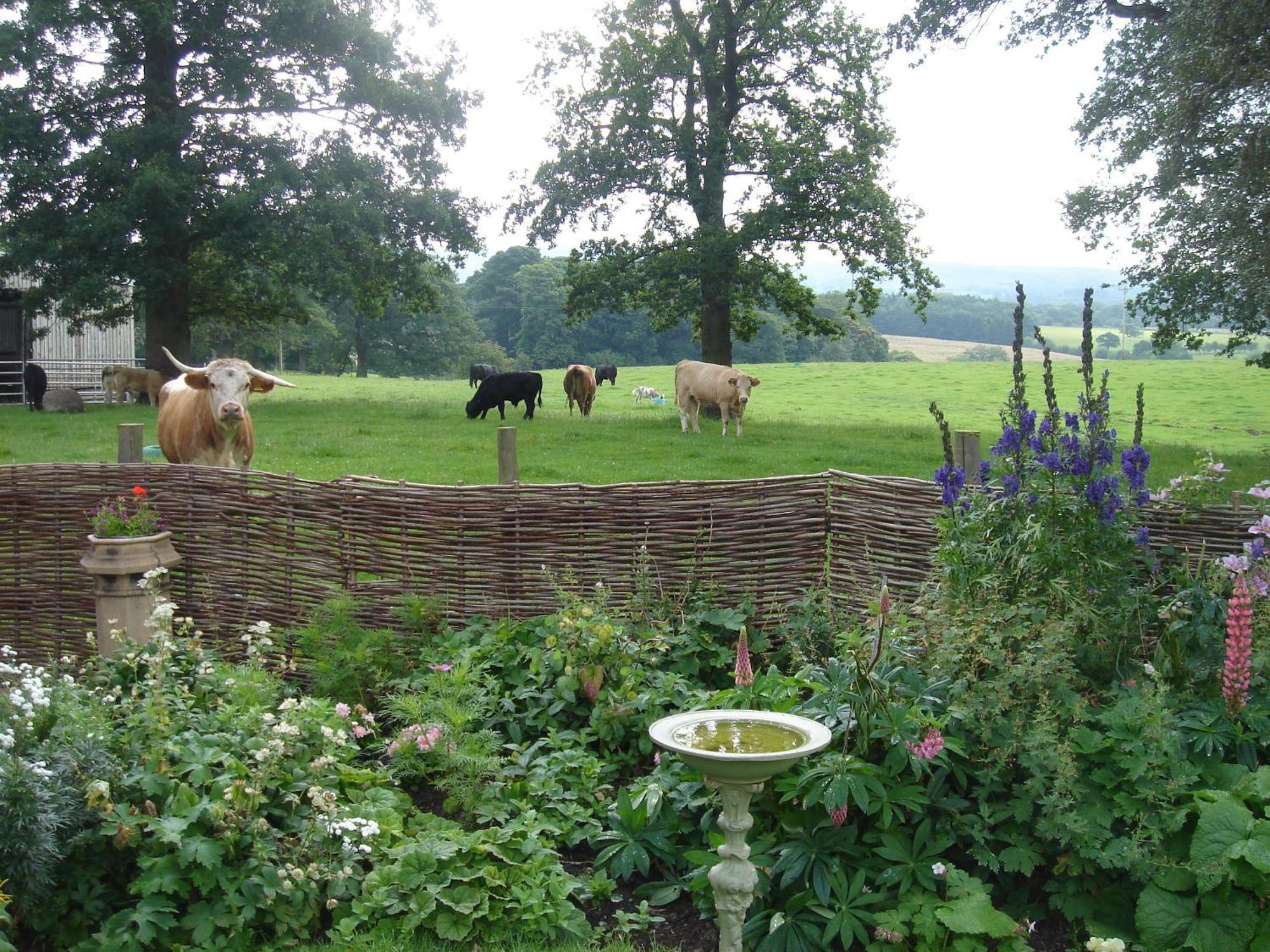 Bed and Breakfast Yew Tree Farm Eaton  Exterior foto